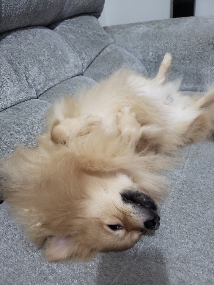 wally