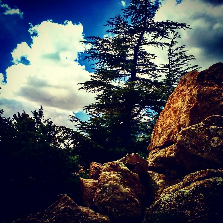 rockz