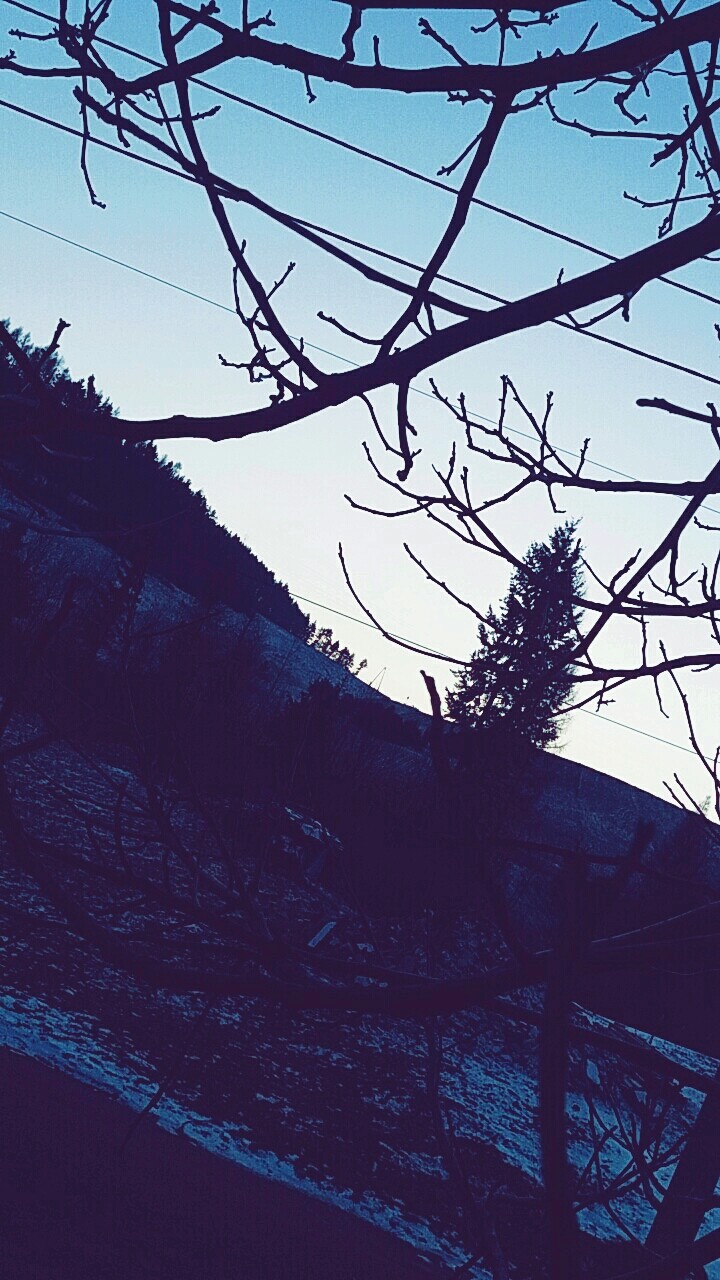 Beautiful Sunset