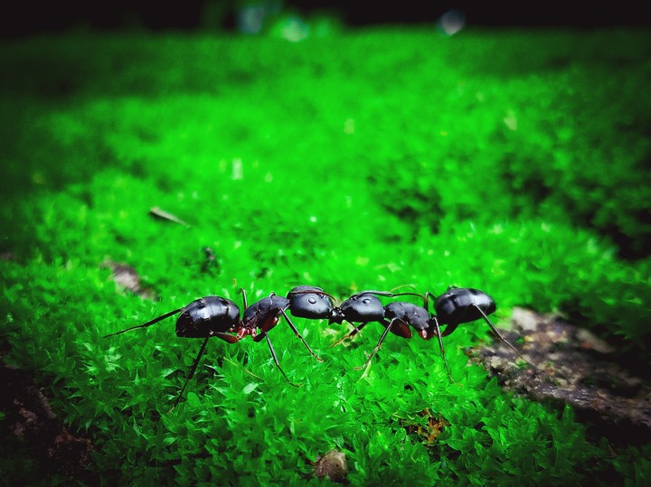 #Miniature #love