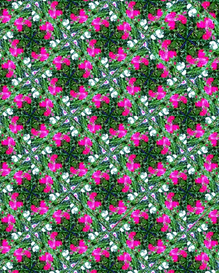 Flowers Kaleidoscope