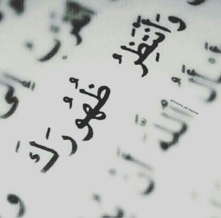 لیبک یامولا یامهدی