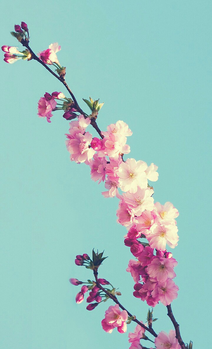 flor