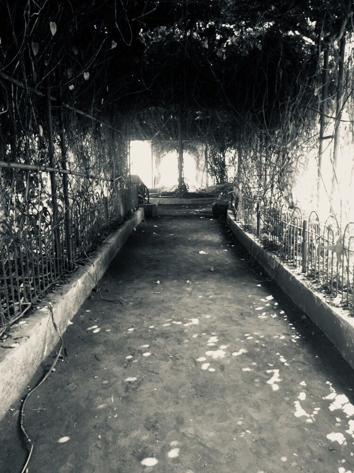 Path