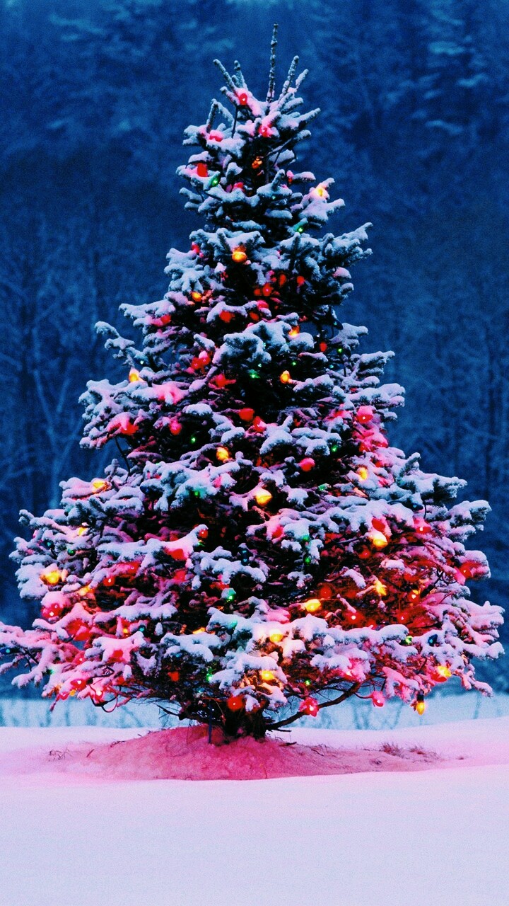 CHRISTMAS TREE