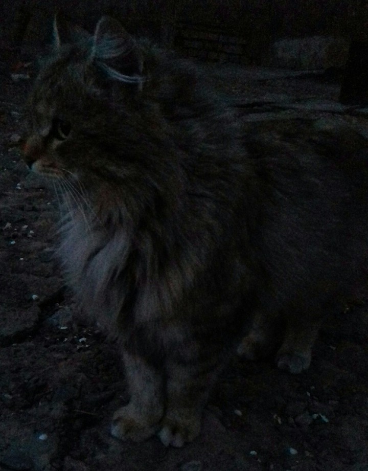 живая природа