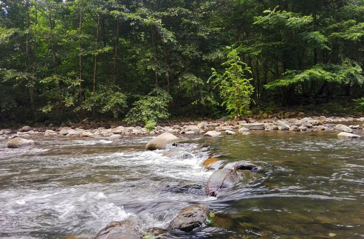 Siahkal Nature