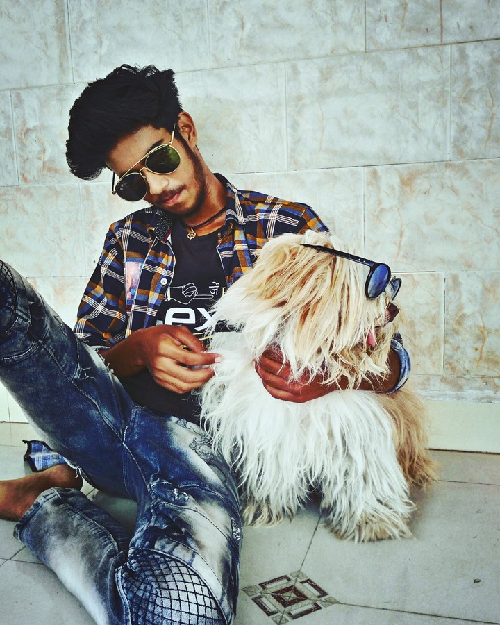 animal image | dog pictures