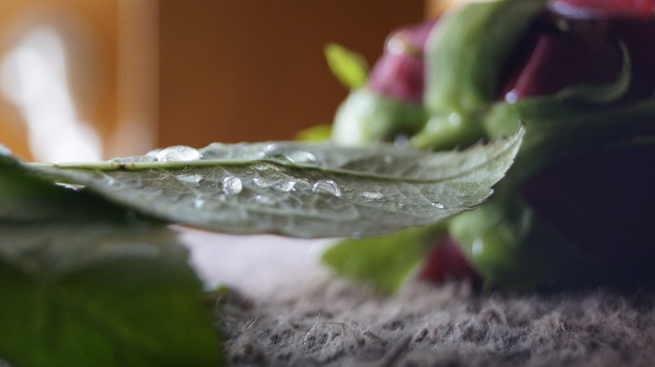 water drops