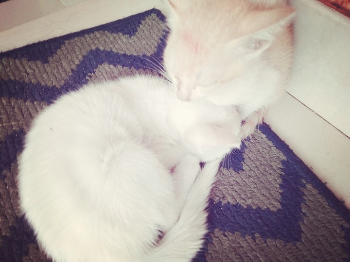so cuteee
