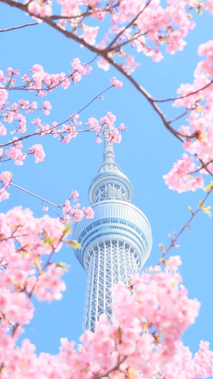スカイツリー