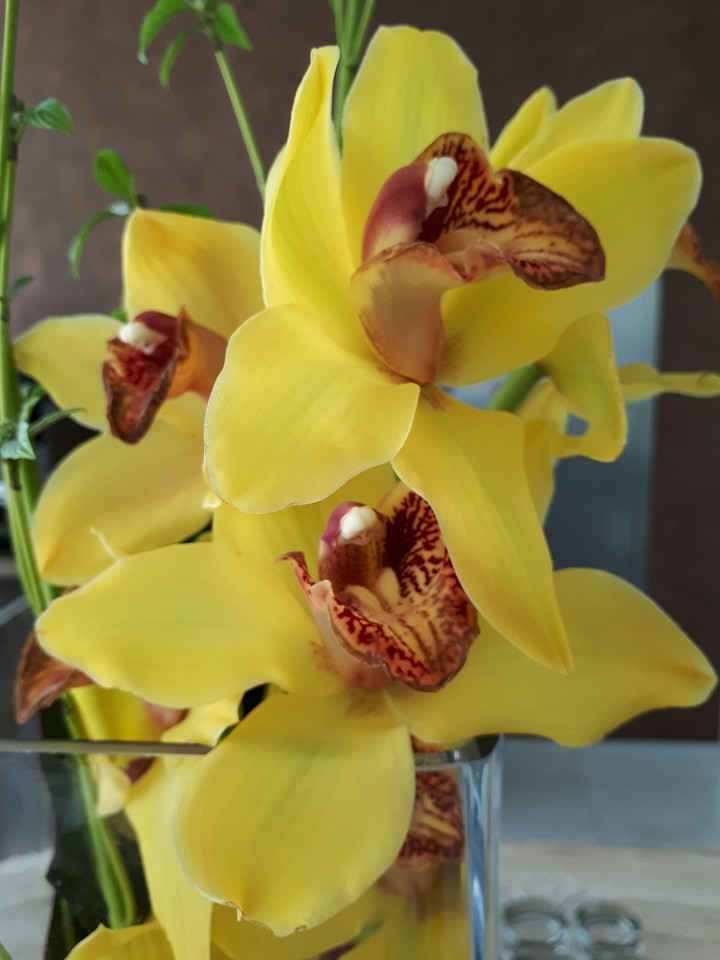 yellow flower