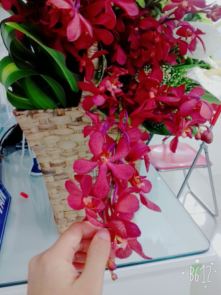yêu