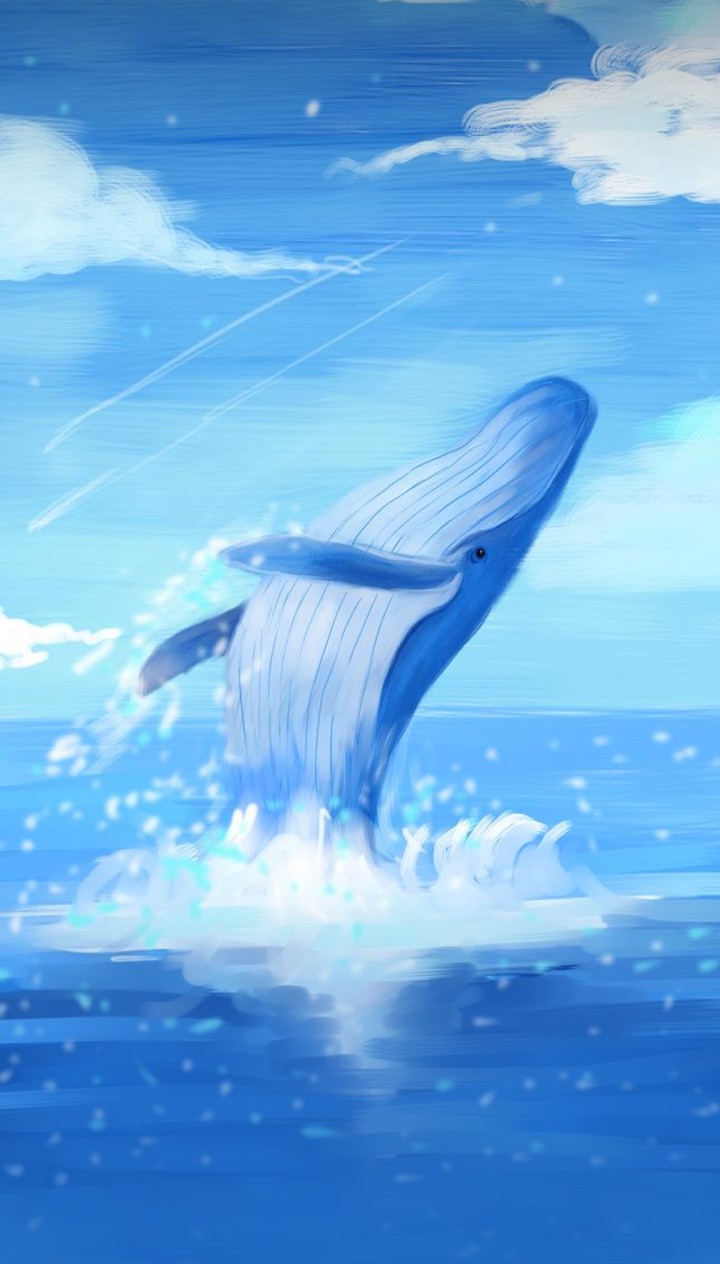 Whale