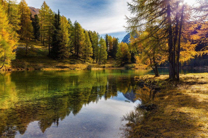 autumn