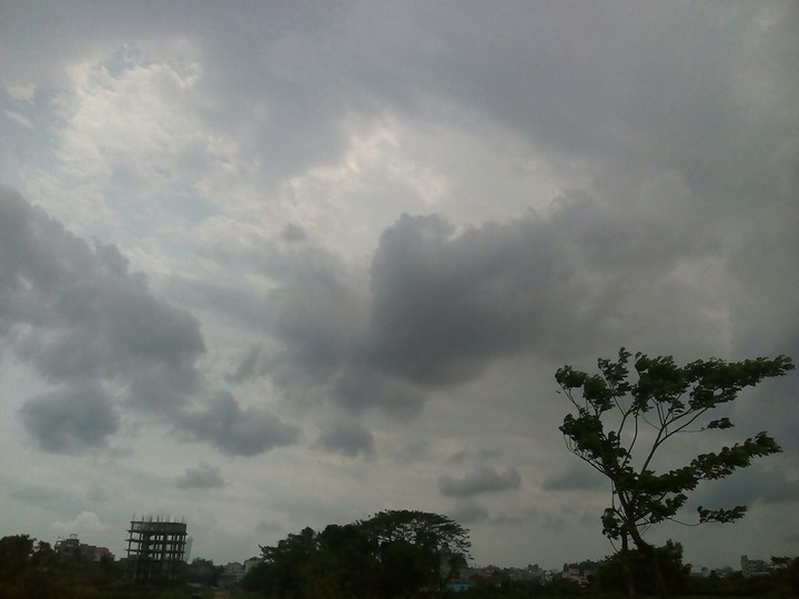 Wind's