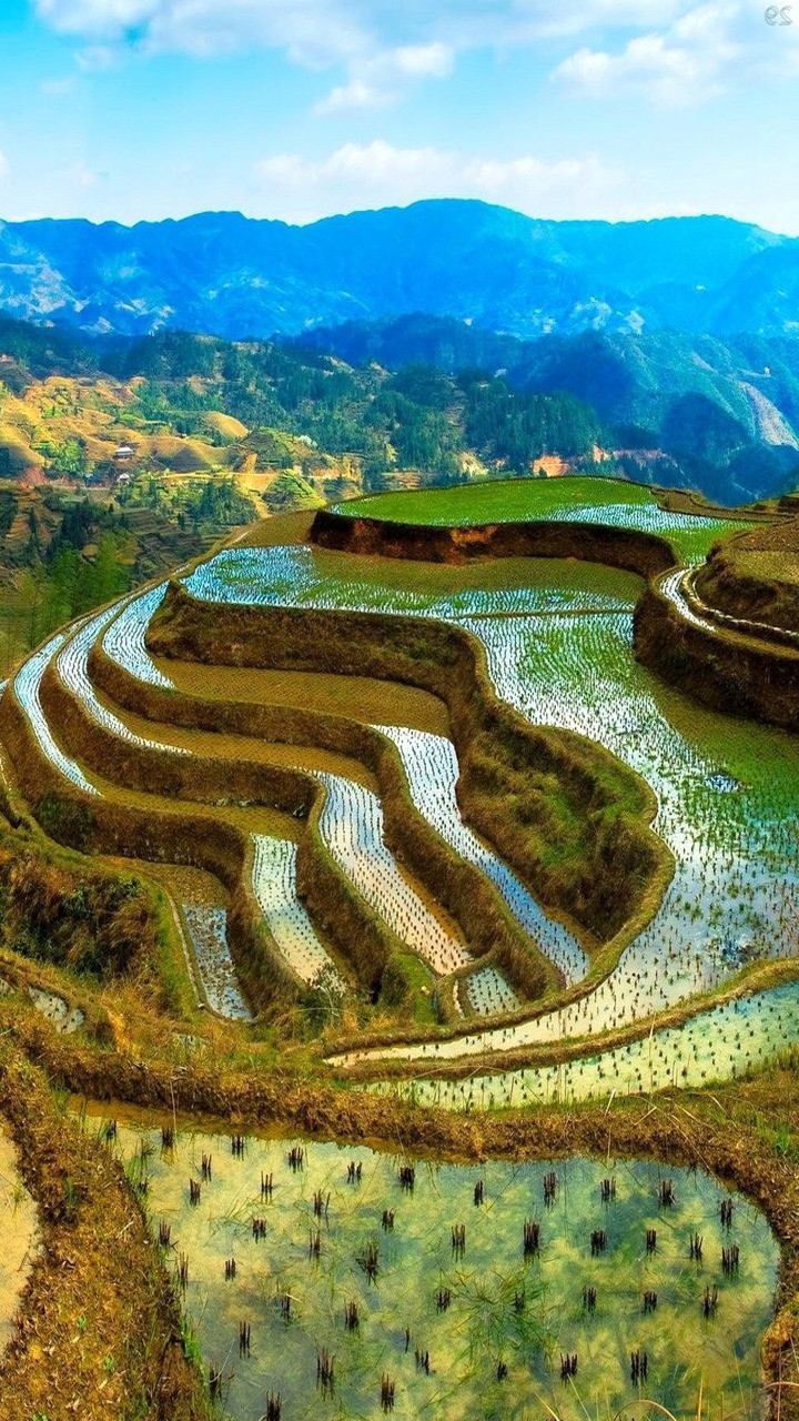 China Mont