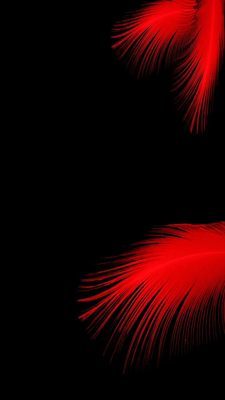 graphics