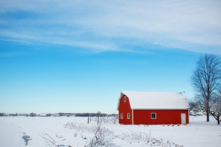 winter