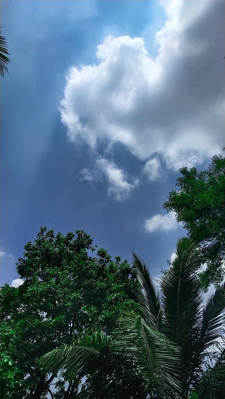 Scenery