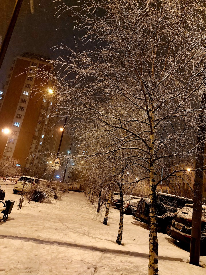 the first snow
