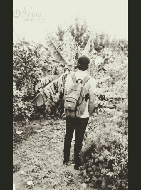 IOSWF