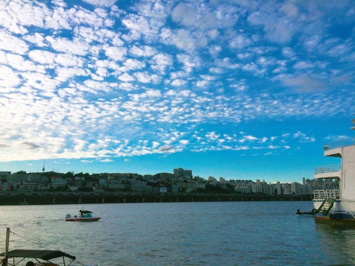 the blue sky