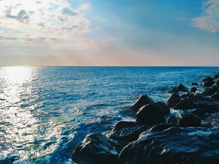берег Черного моря