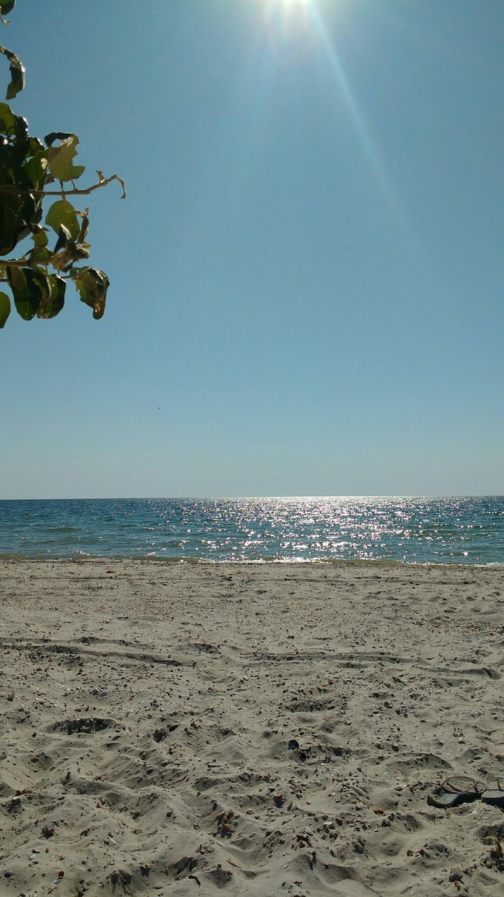 море
