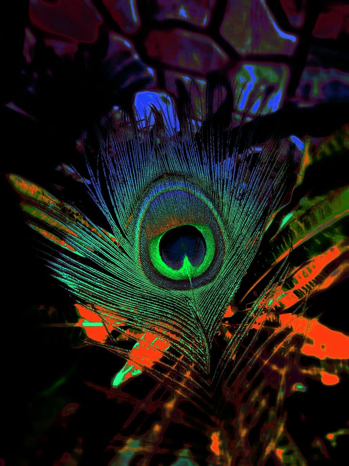 Decorative