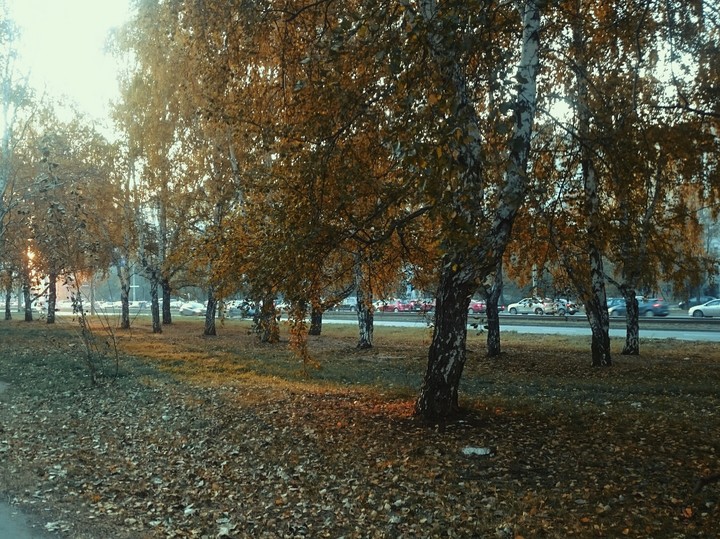 Fall