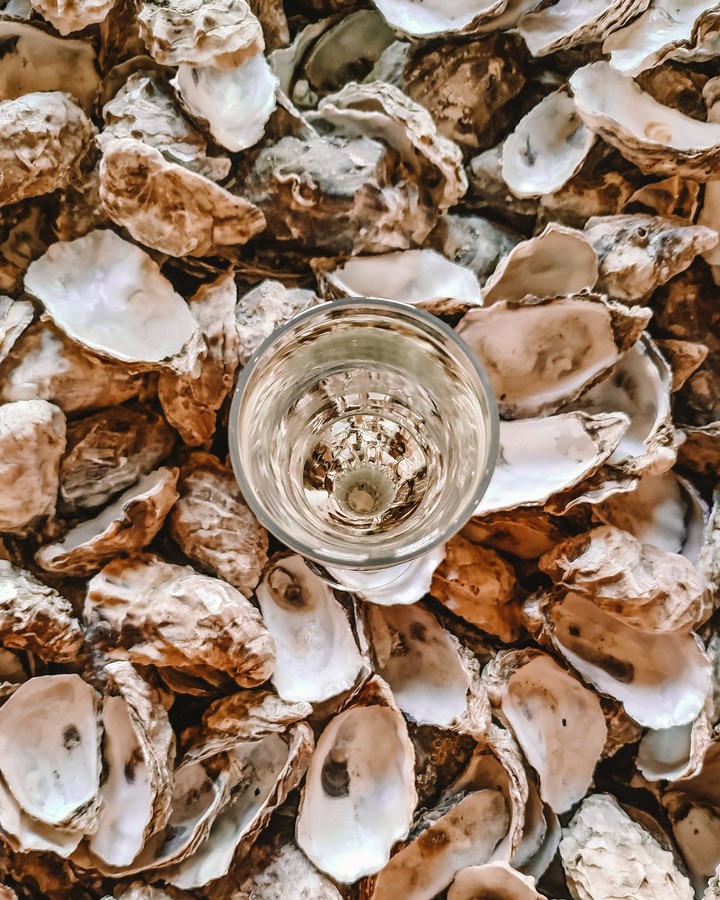 oysters & prosecco