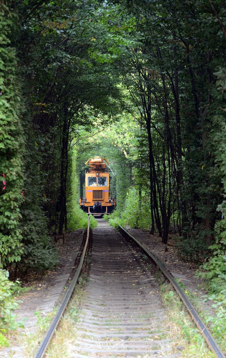 Ttrian