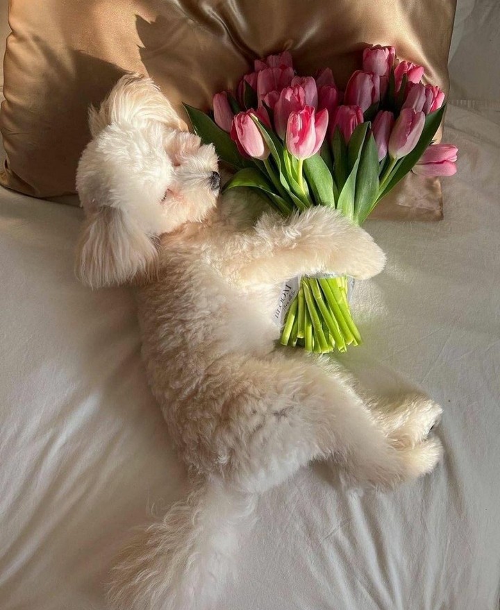 .