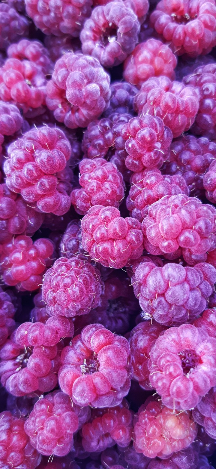 малина