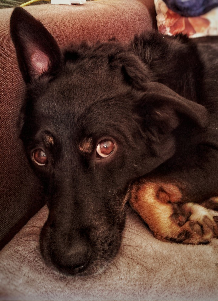 Those eyes