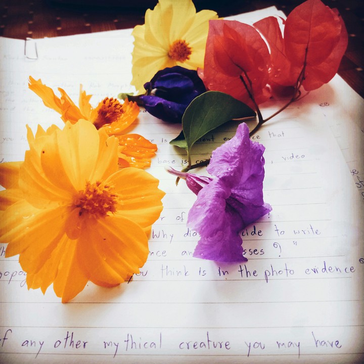 colorful flowers