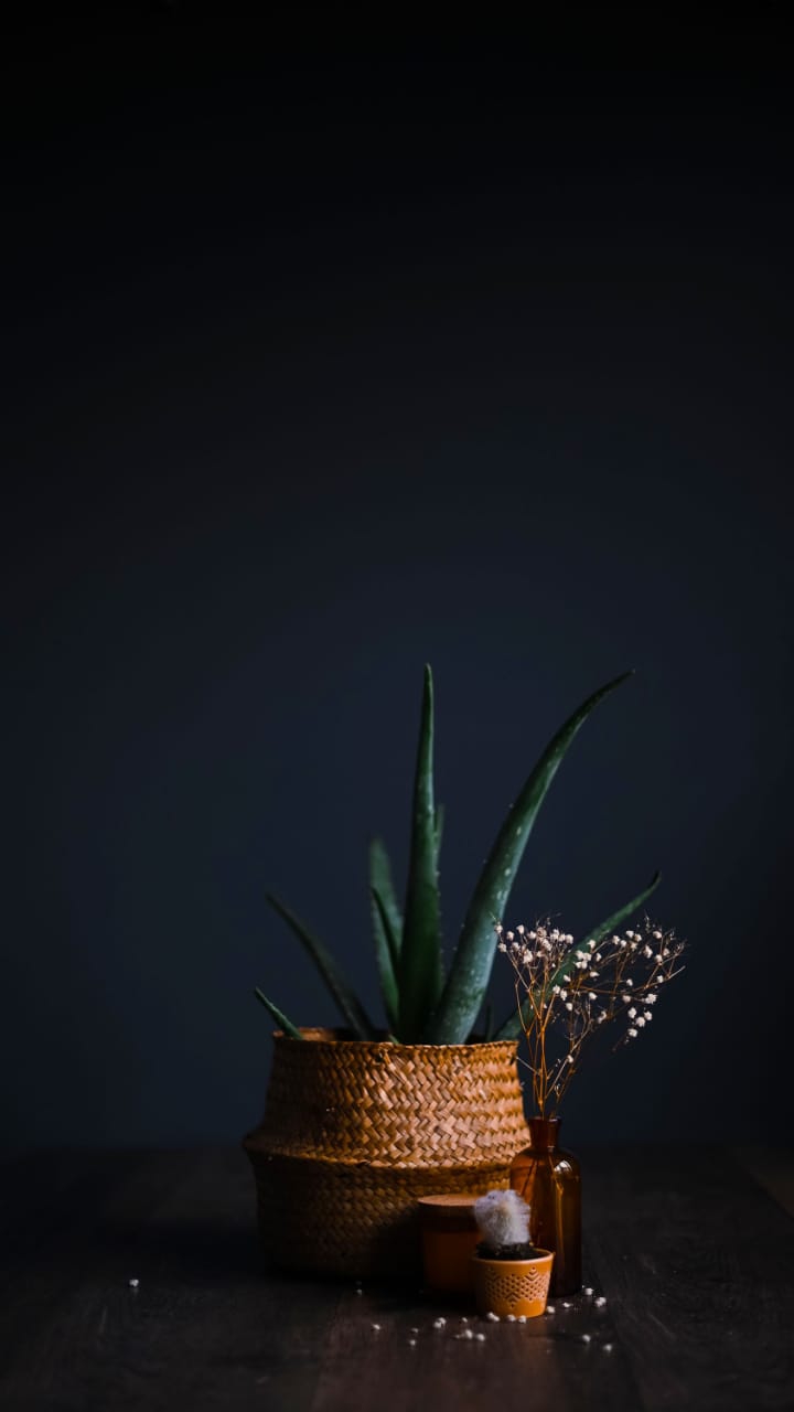 cute