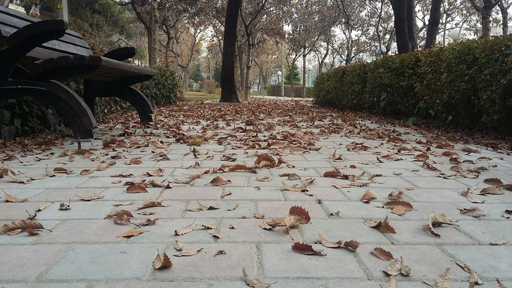 autumn