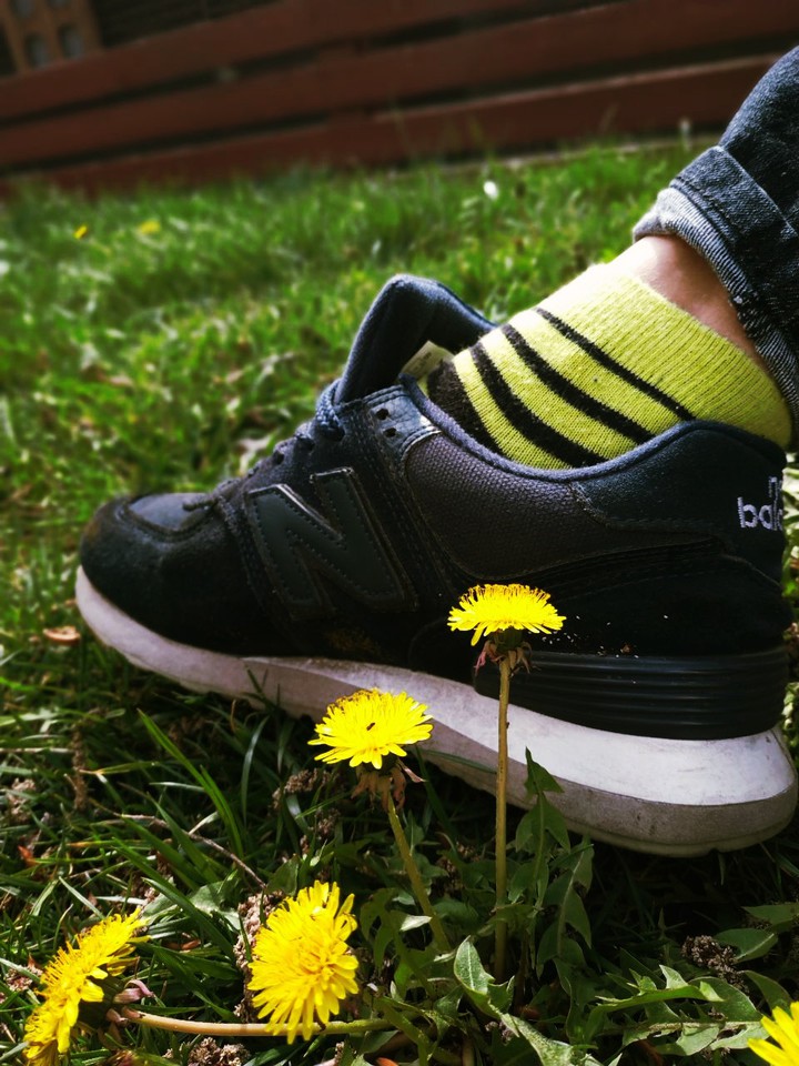 dandelions