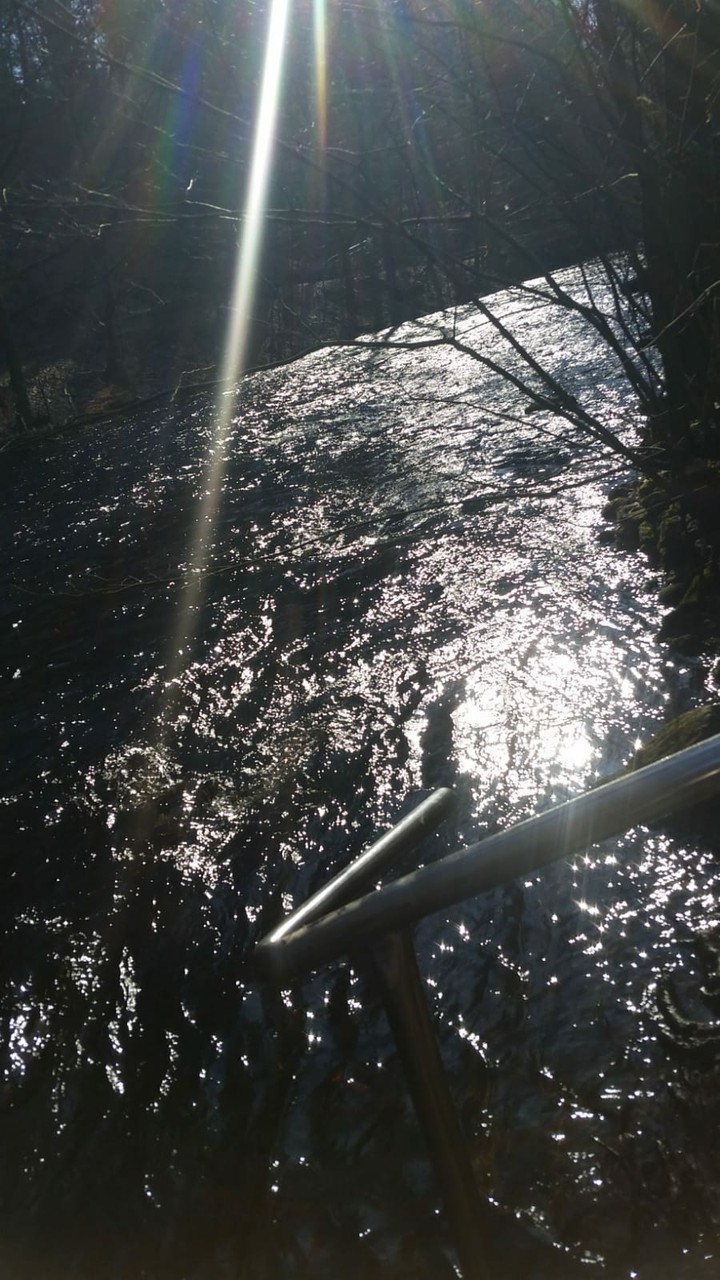 Natur