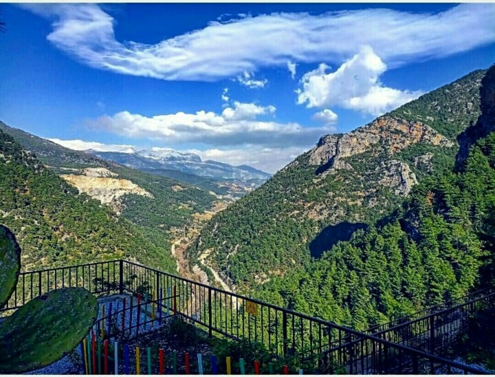Dimçay