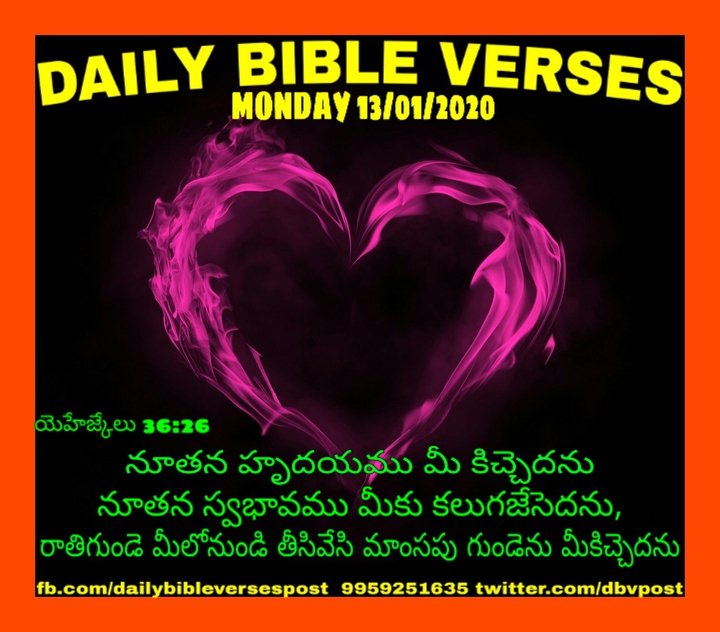 DAILY BIBLE VERSES
