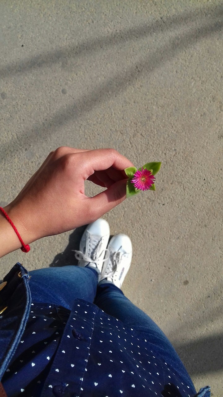 narminmn9
