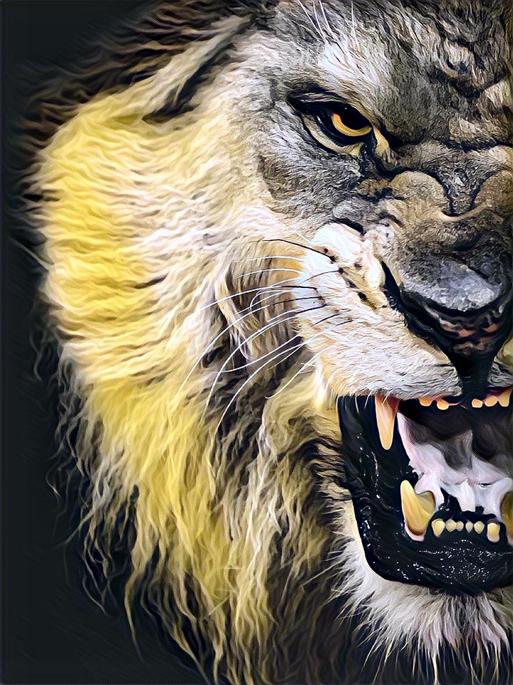 The king