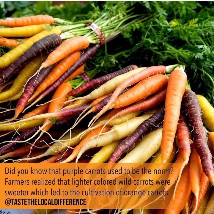 carrot