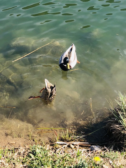 lake