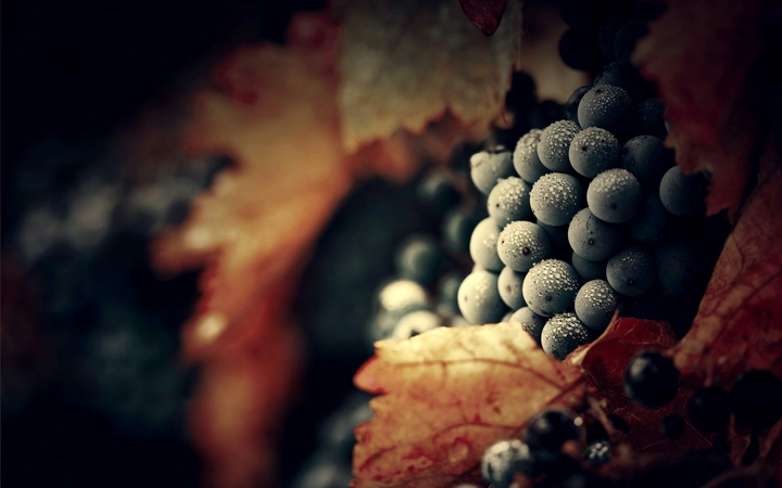 black grapes