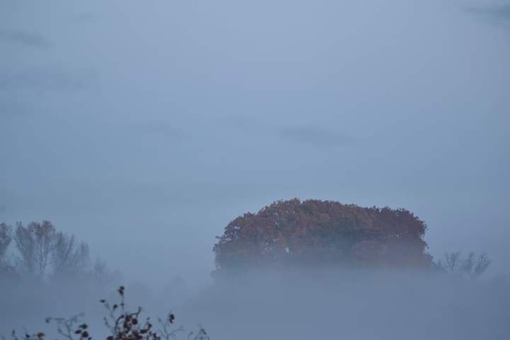 hiver
