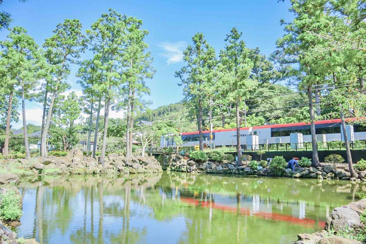 Train in summer